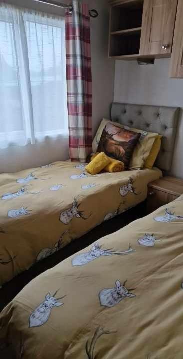 Cairn View Chalet Villa Aviemore Buitenkant foto